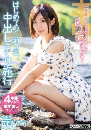 HND-376 The First Time Of Two Days And One Night Kono Travel Spree Pies Aki