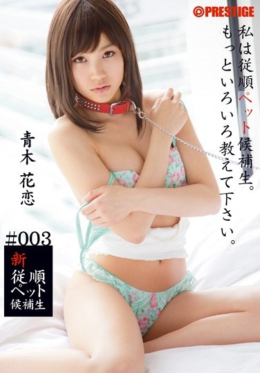 [BRA-003] New Pet Training #003 Karen Aoki