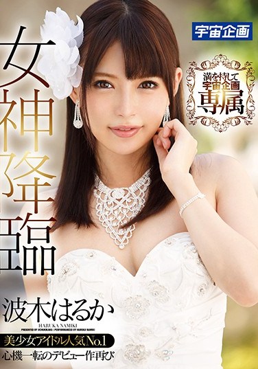 [MDTM-309] The Goddess Descends Haruka Namiki