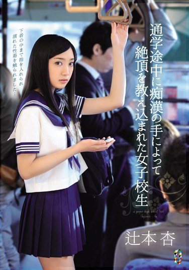 [TEAM-065] A Schoolgirl Is Taught A Lesson in Ecstasy By The Hands Of A Molester While On Her Way To School Starring Ann Tsujimoto