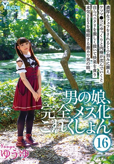 HERY-118  Otokonoko, Completely Female Collection 16 Yuyu