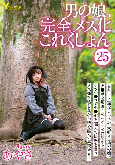 HERY-128  Man’s Daughter, Complete Female Collection 25 Ayasa