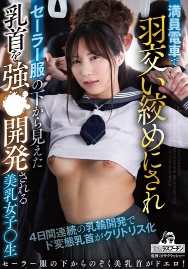 DRPT-070 Miyokawa Haruka – Harassed Schoolgirl Miogawa Haruka Nipples Exposed on a Crowded Train in Forced Development